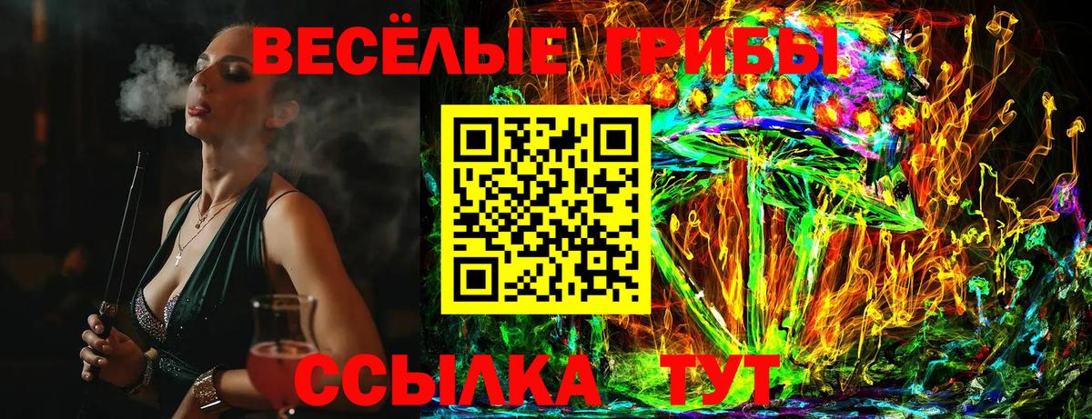 Псилоцибиновые грибы Psilocybine cubensis Артём